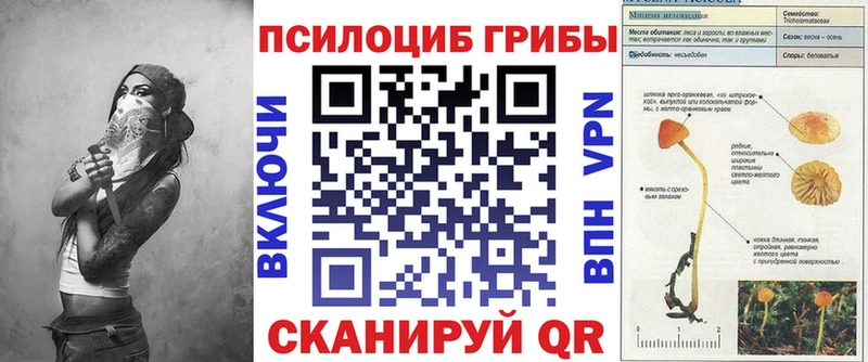 Псилоцибиновые грибы Magic Shrooms  Ульяновск 