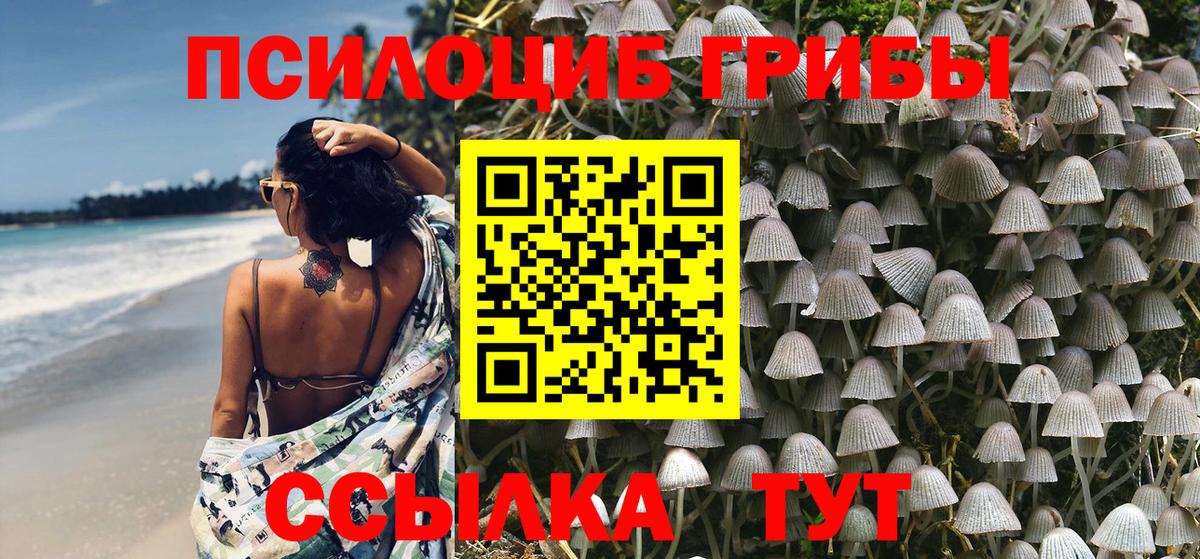 Галлюциногенные грибы мухоморы  Галлюциногенные грибы MAGIC MUSHROOMS  Ульяновск  Вход с VPN 